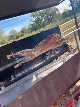 Salle de réception Pic Saint-Loup — photo 4