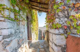 Mas de Lavit · Pic Saint-Loup — photo 28